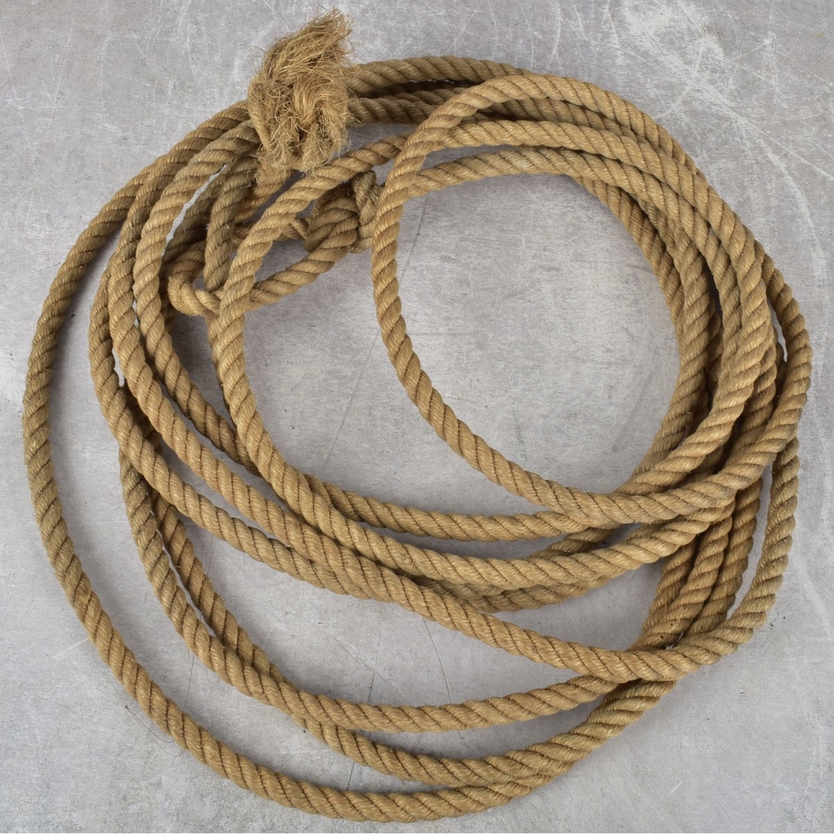 "The Horse Whisperer" Prop Rope