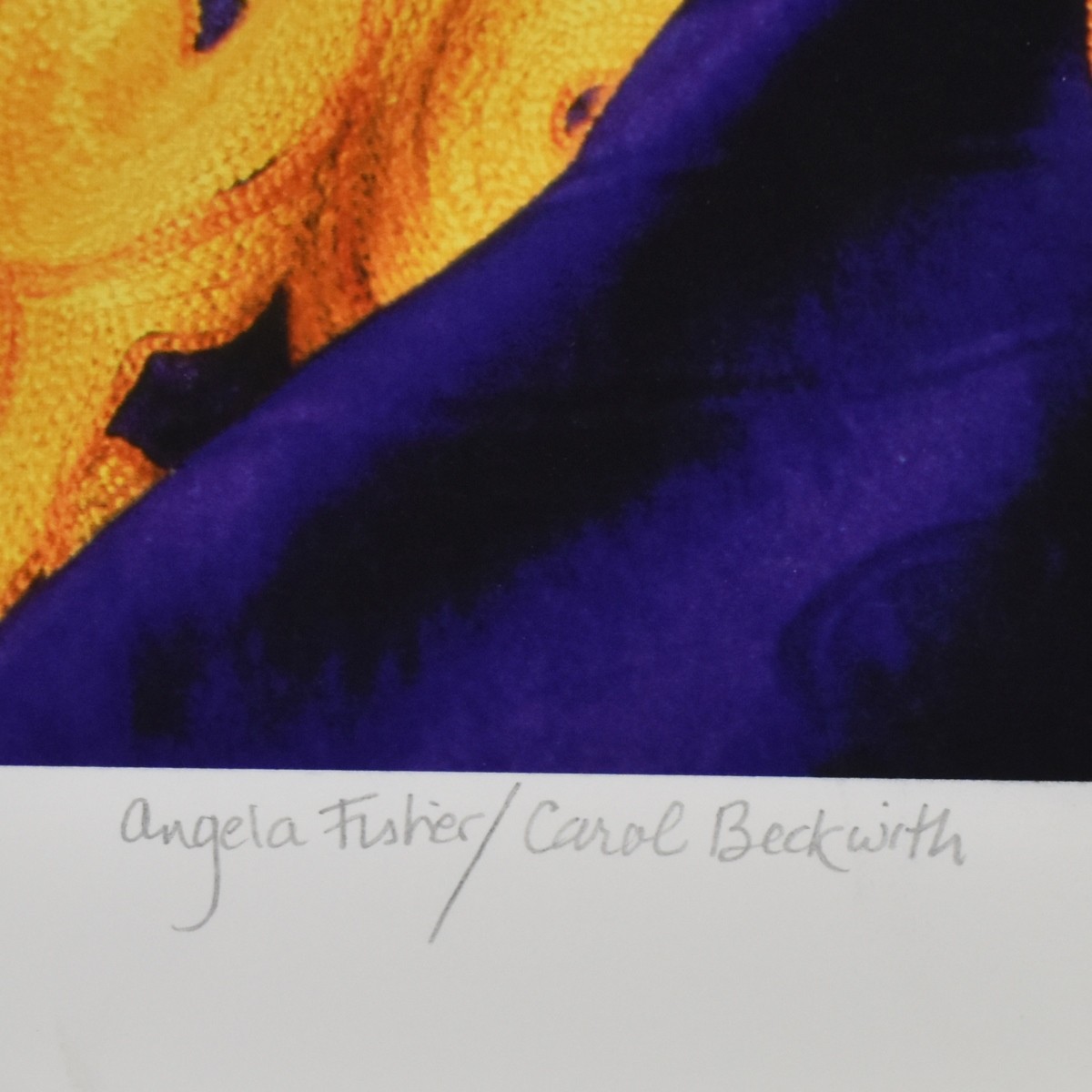 Carol Beckwith & Angela Fisher African Ceremonies