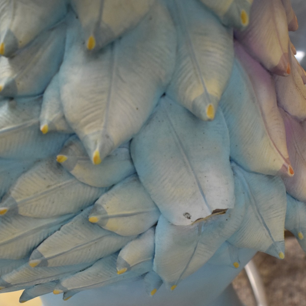 Sergio Bustamante, Mexican (b. 1949)