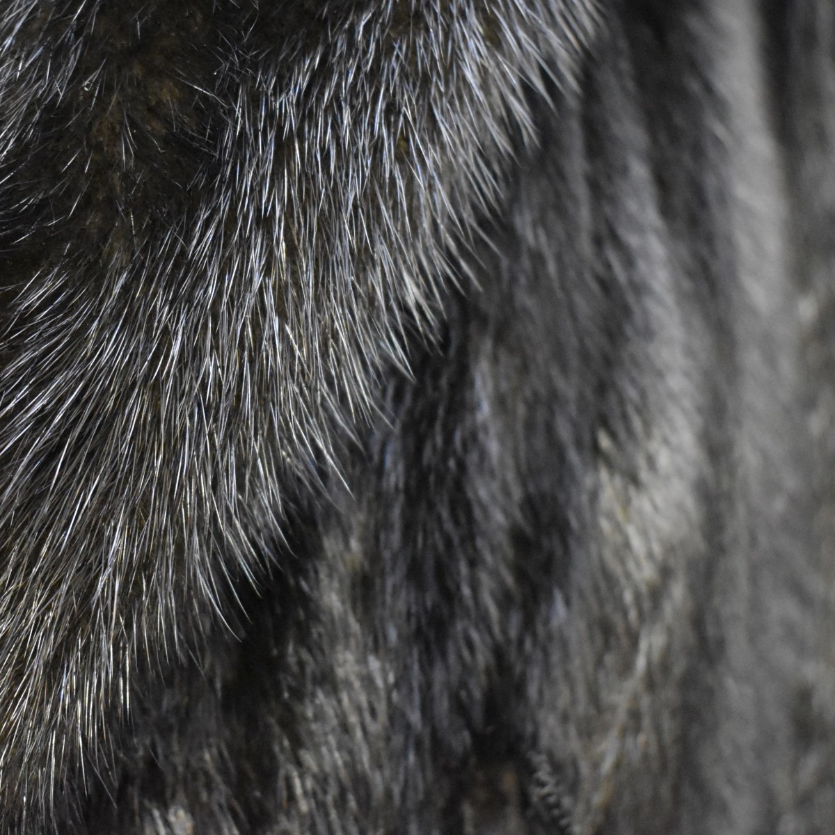 Womens Ranch Mink Coat