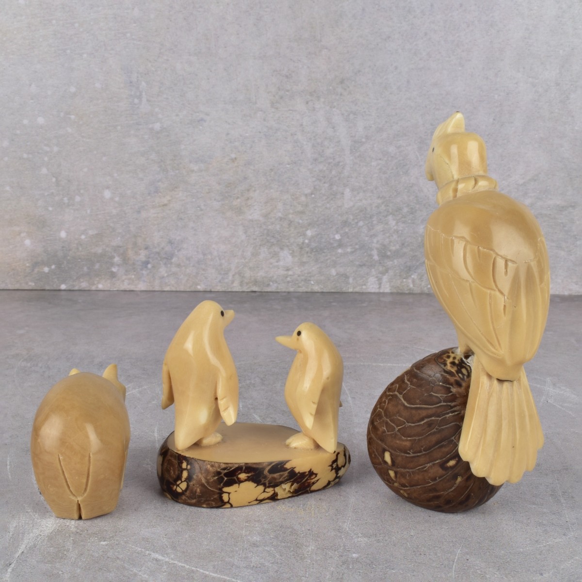 Carved South American Tagua Sculptures