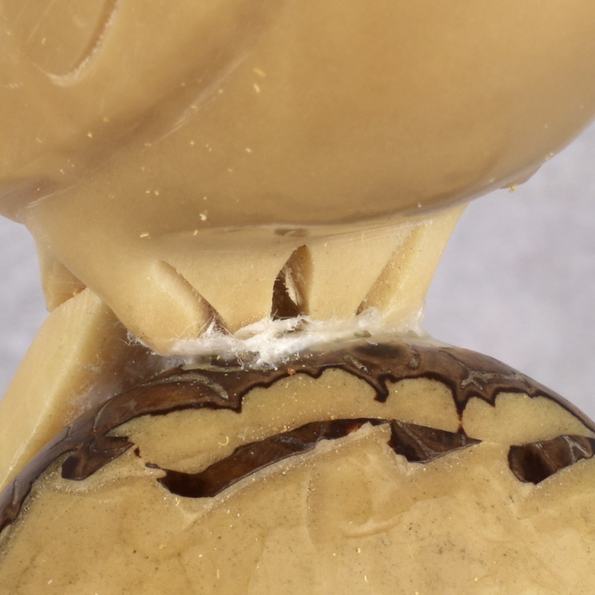 Carved South American Tagua Sculptures