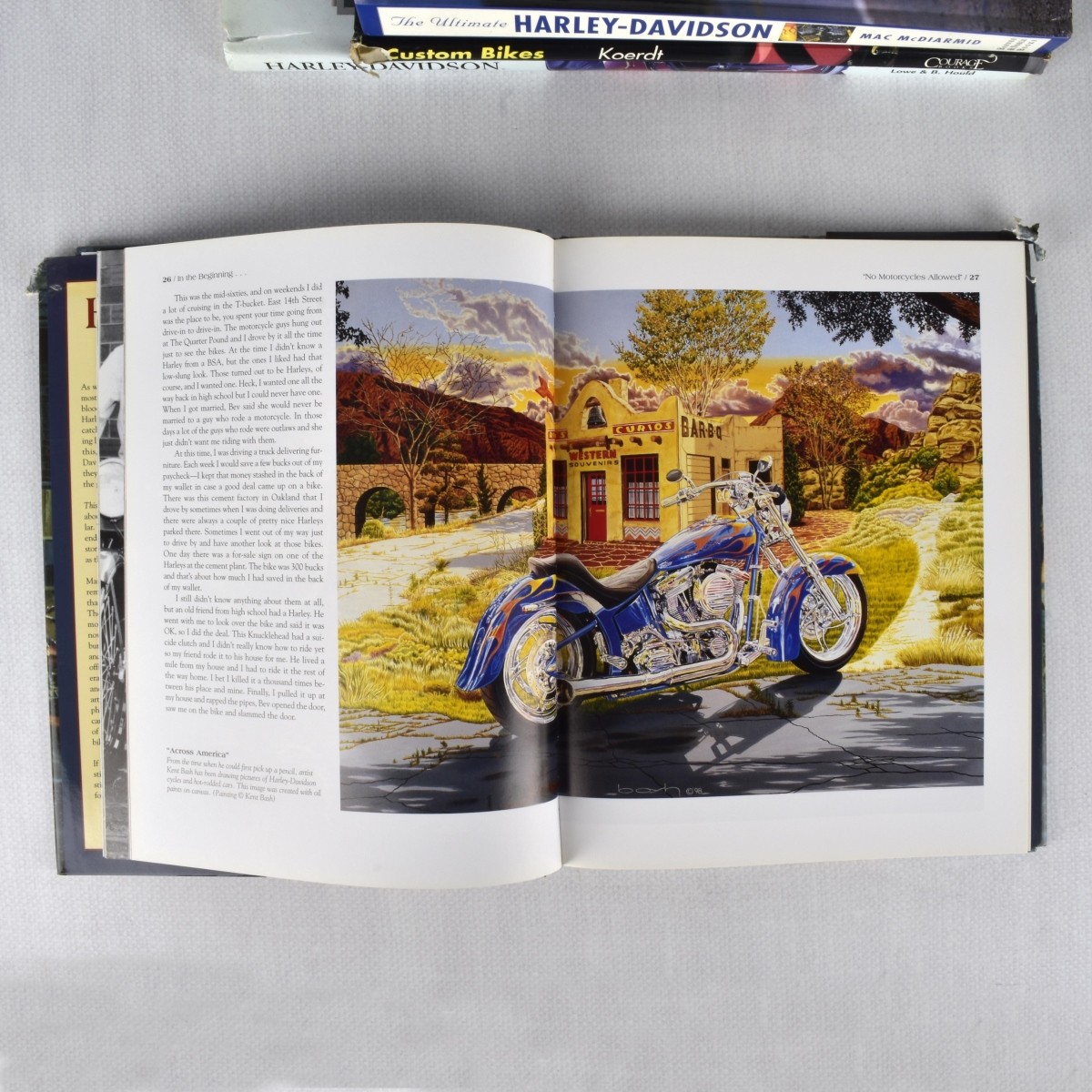 Collection of Motorcycle Books