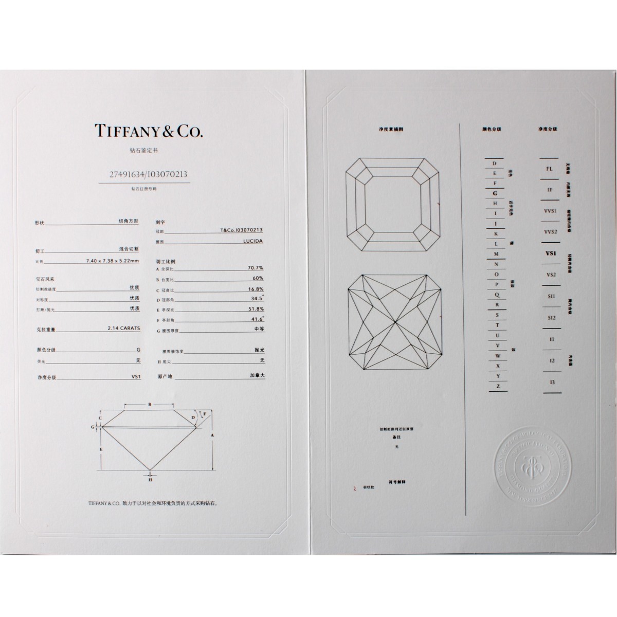 Tiffany & Co Diamond and Platinum Necklace