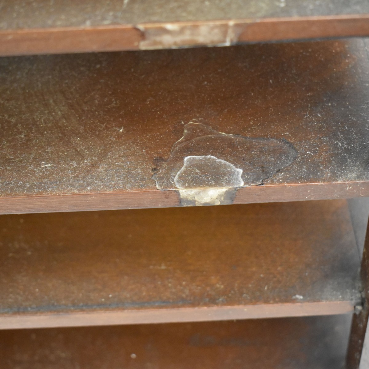 19th Century Sheet Music Shelf