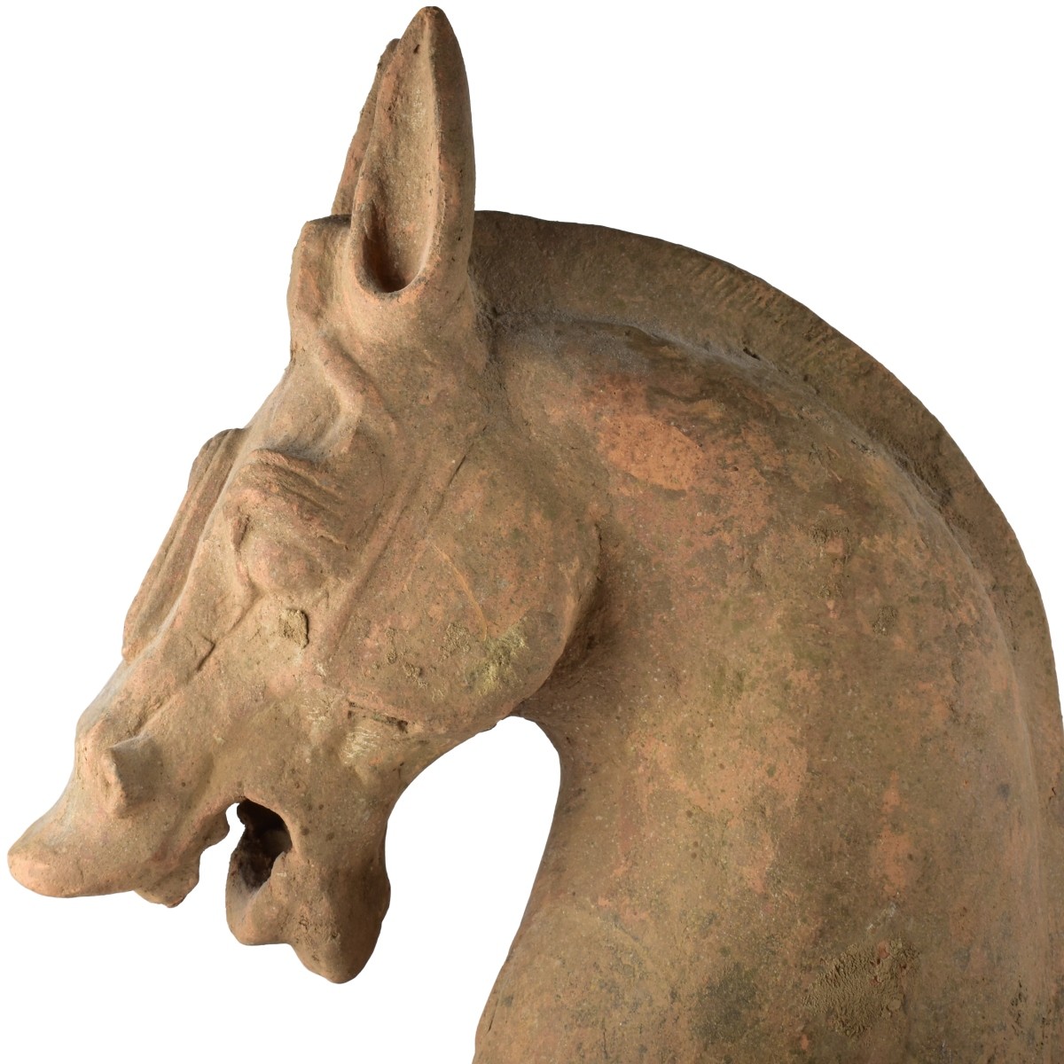 Chinese Tang Dynasty Terracotta Horse