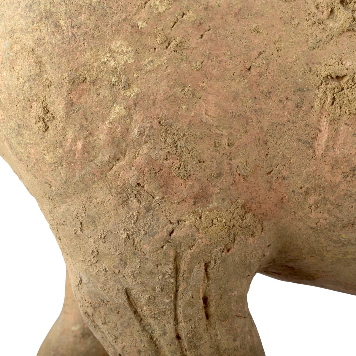 Chinese Tang Dynasty Terracotta Horse