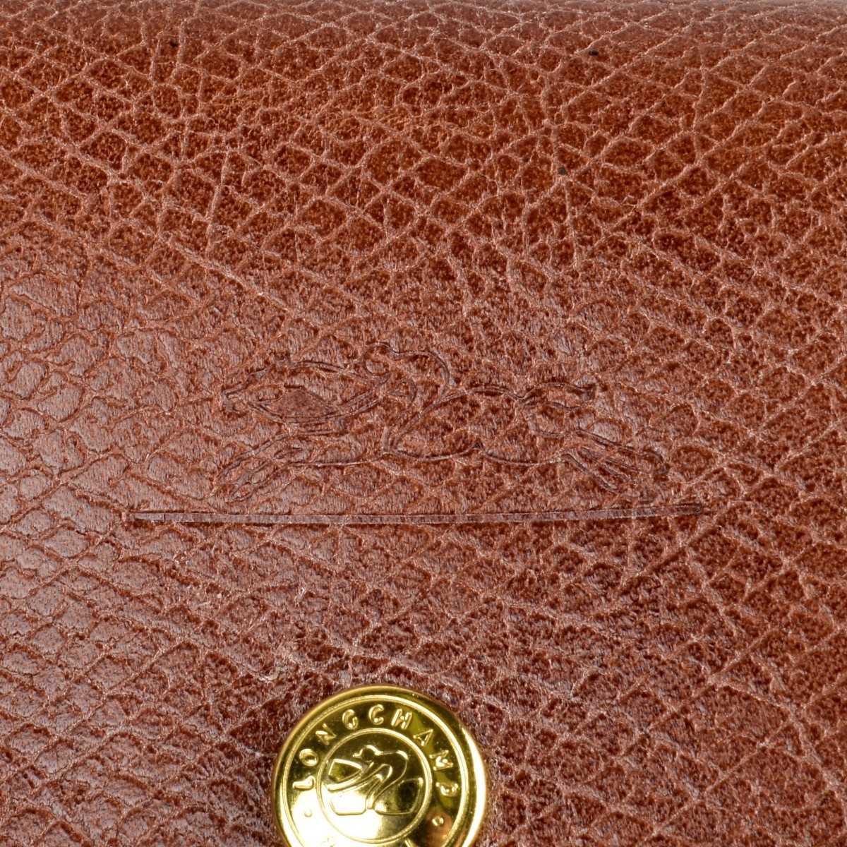 Longchamp Epure Leather and Nylon