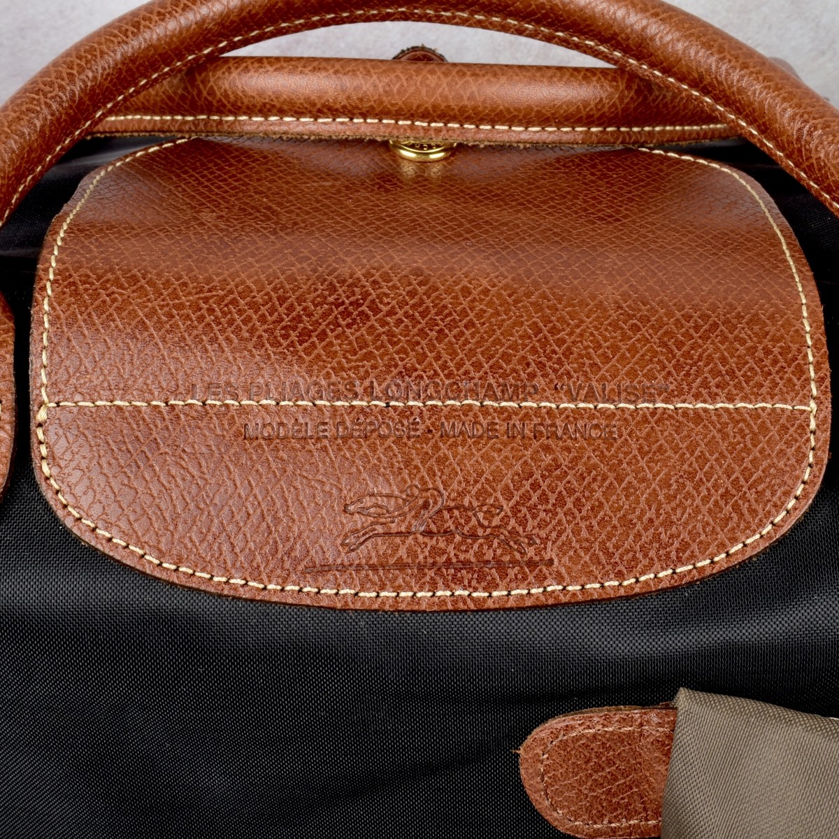 Longchamp Epure Leather and Nylon