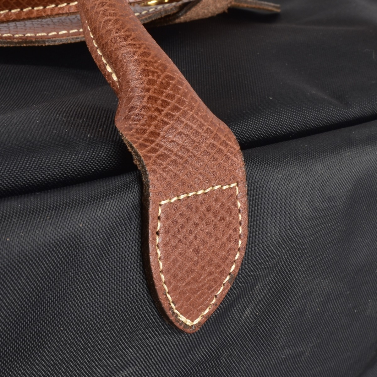 Longchamp Epure Leather and Nylon