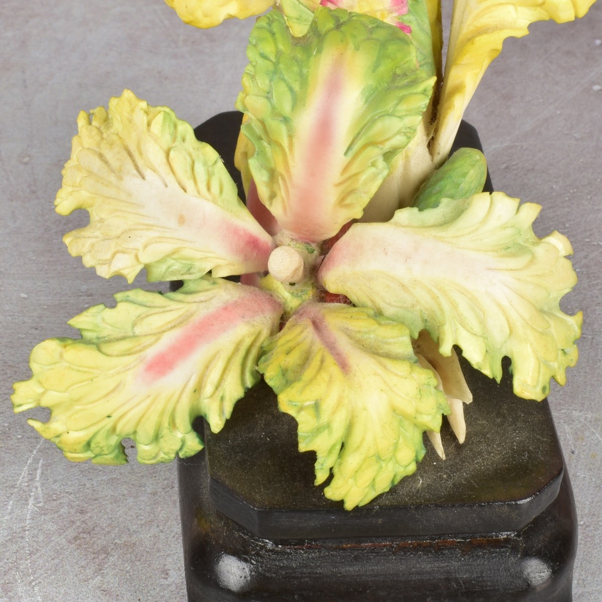 Antique Chinese Bok Choy