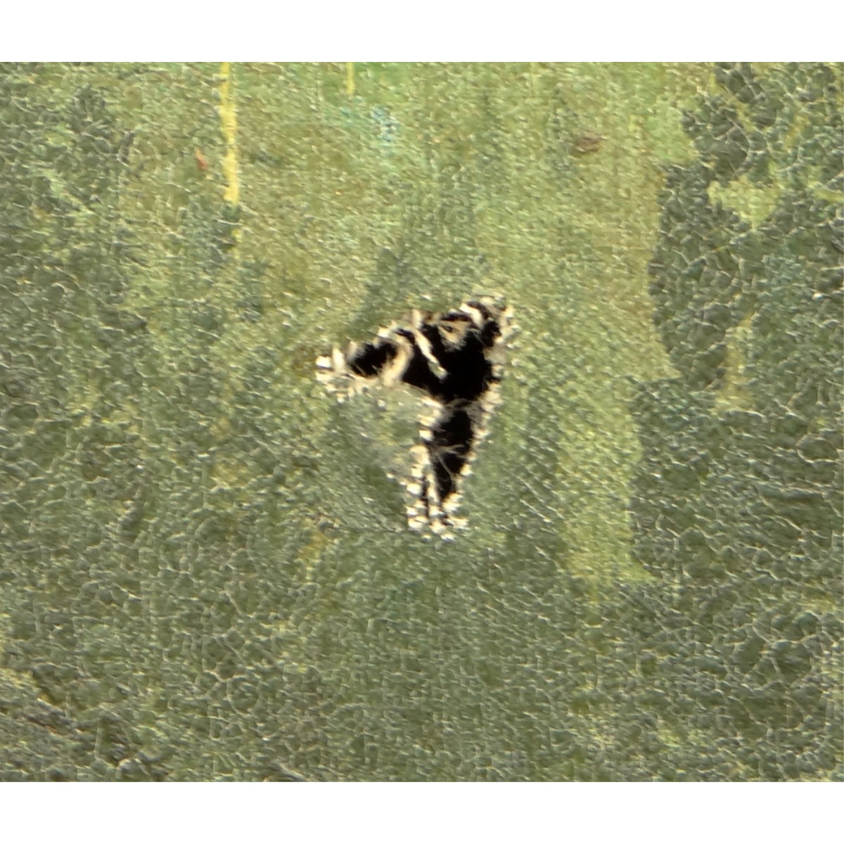 Segundo (Aguair) Huertas Argentine (1923-2010) O/C