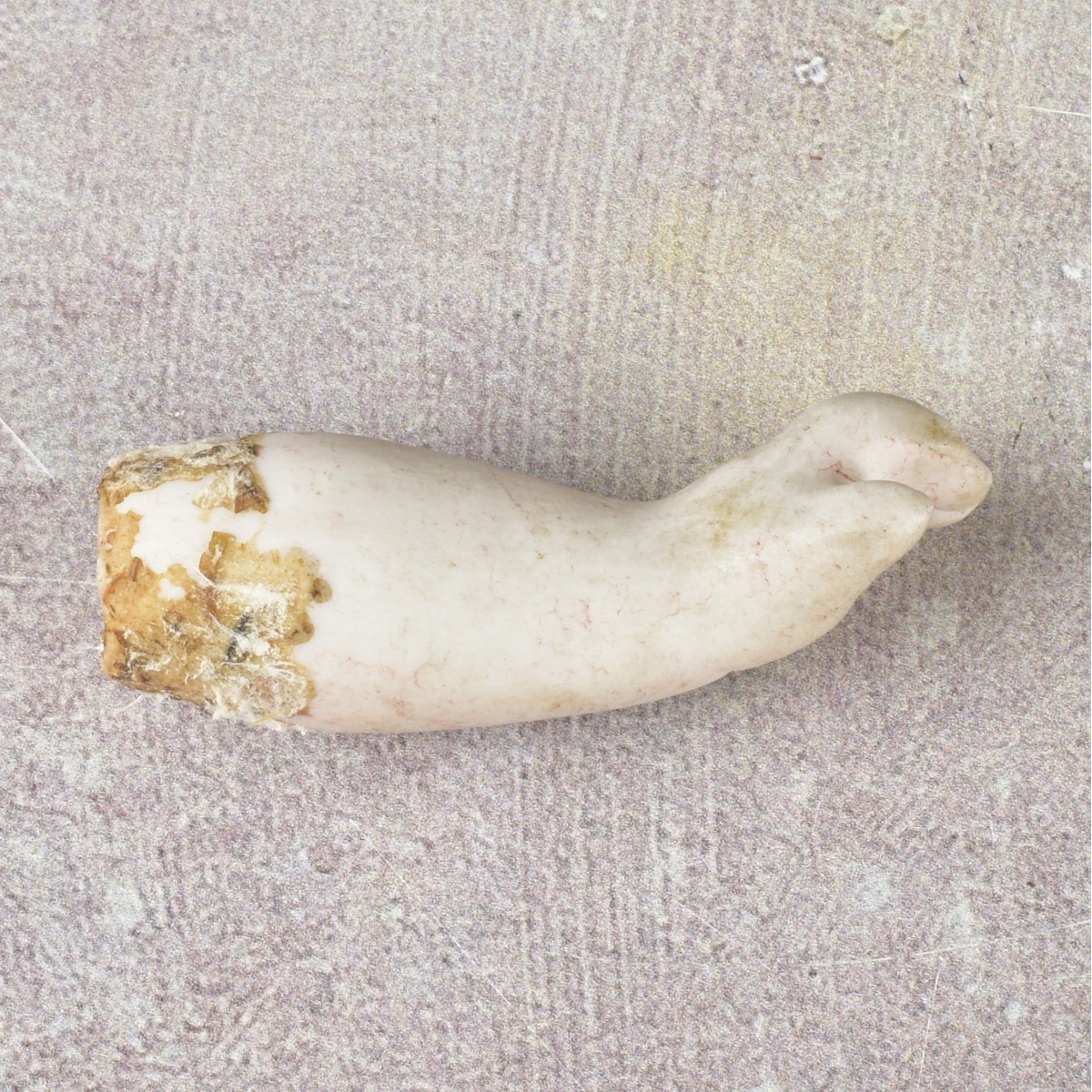 Collection of Antique Dolls