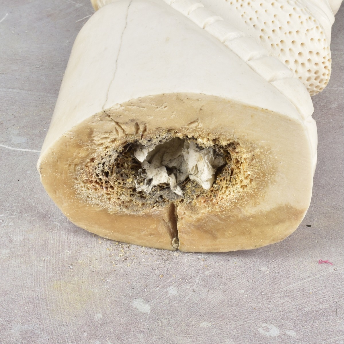 Exceptionally Large Carved Bone Figure