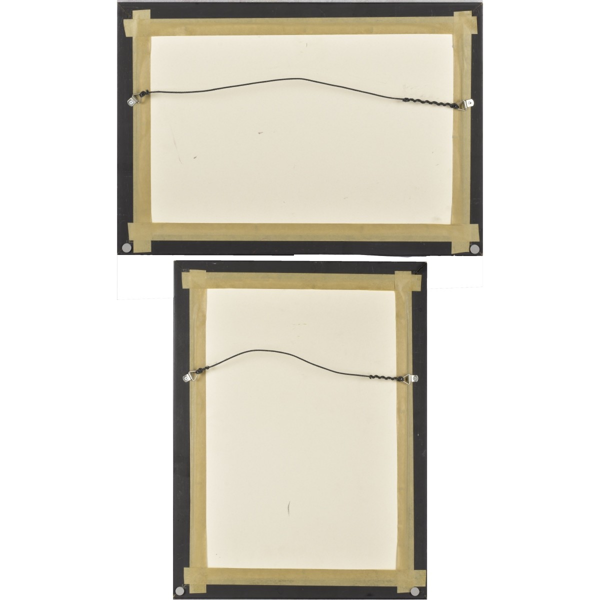 Indian Mughal Paintings