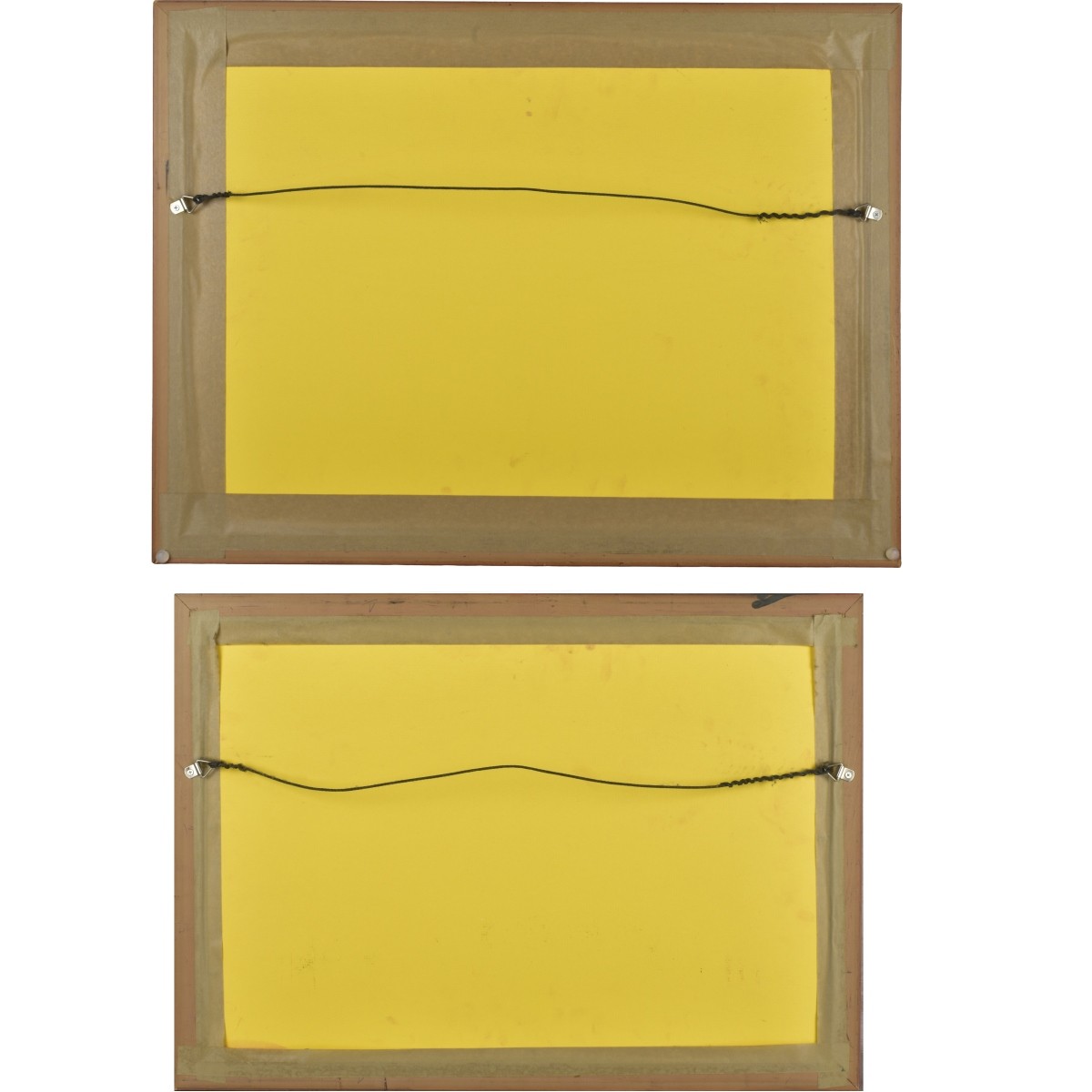 Indian Mughal Paintings