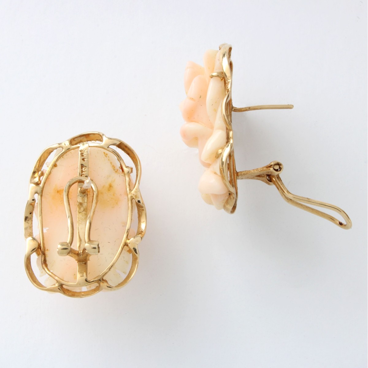 Coral and 14K Earrings