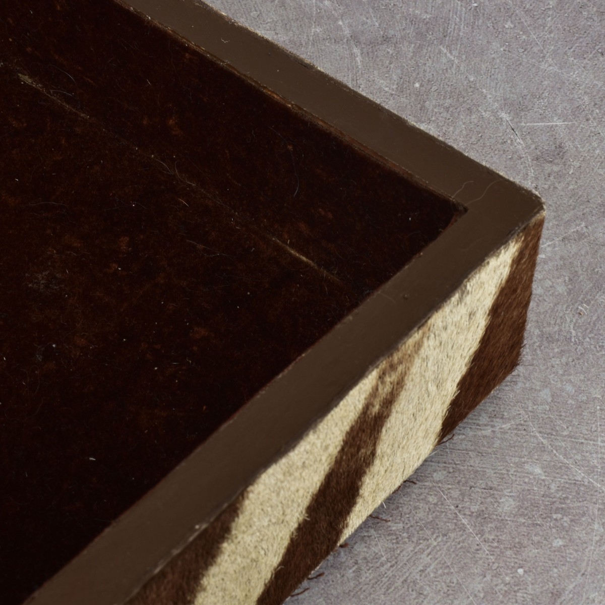 Zebra Skin Box and Glasses Case