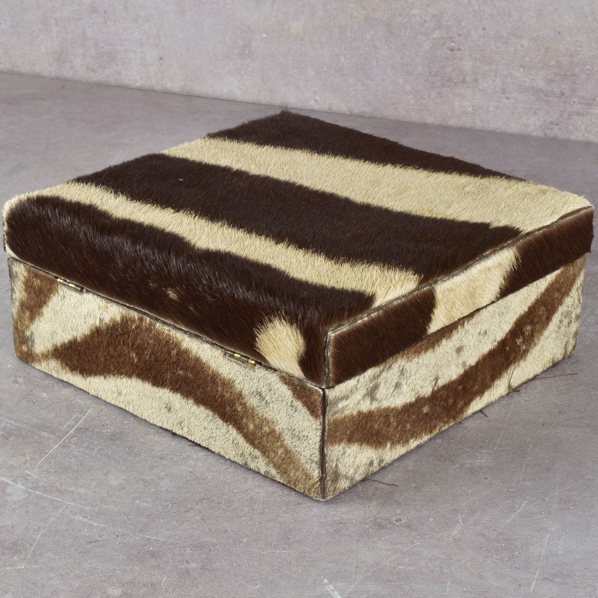 Zebra Skin Box and Glasses Case
