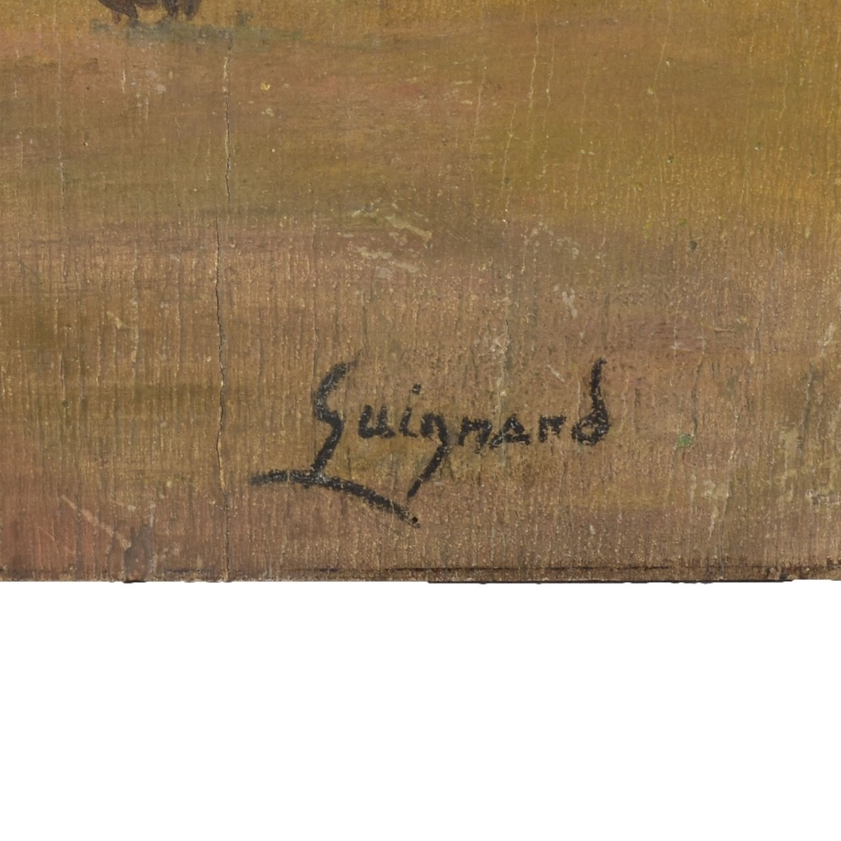 Alberto da Veiga Guignard, Brazilian