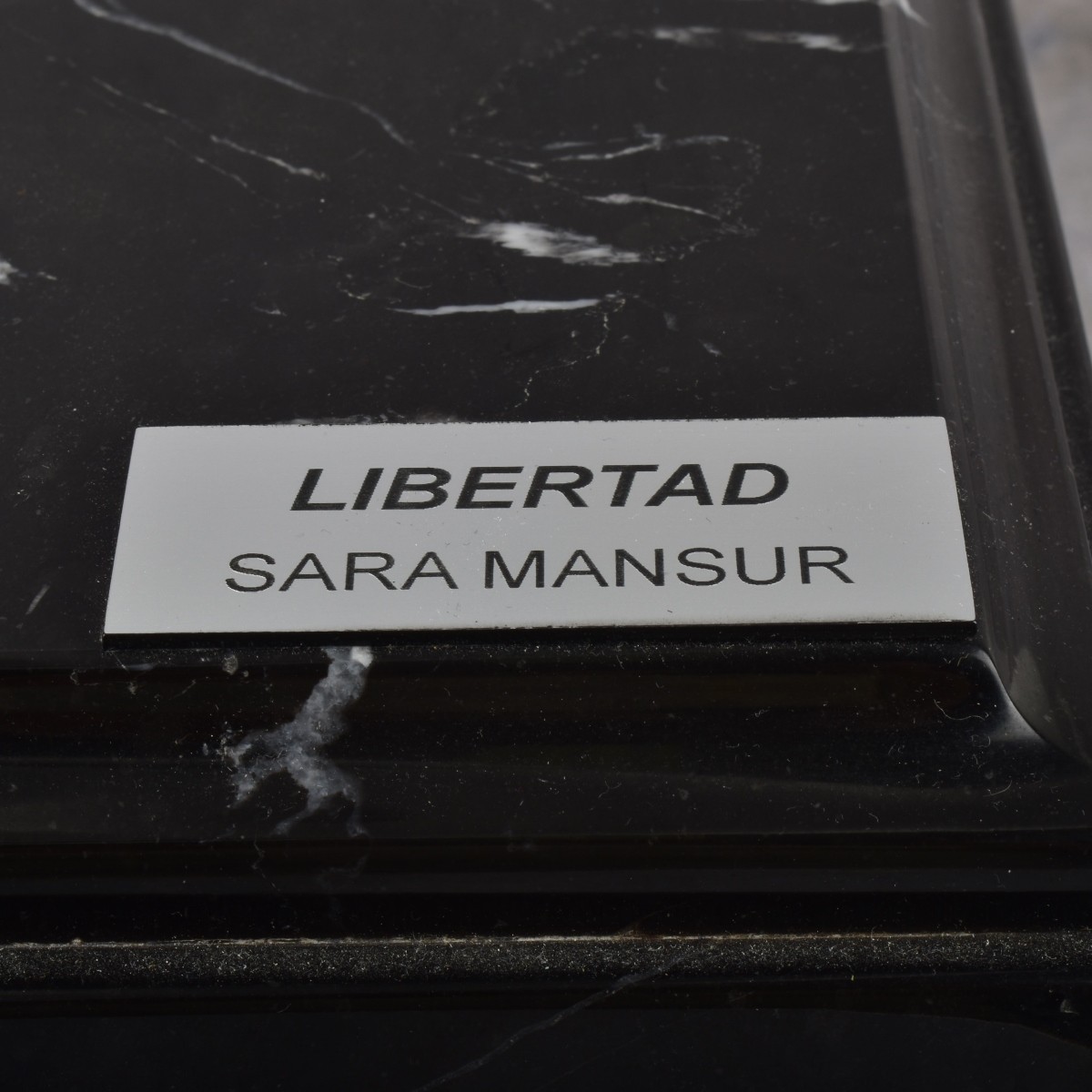 Sara Mansur, Mexican (b. 1975)