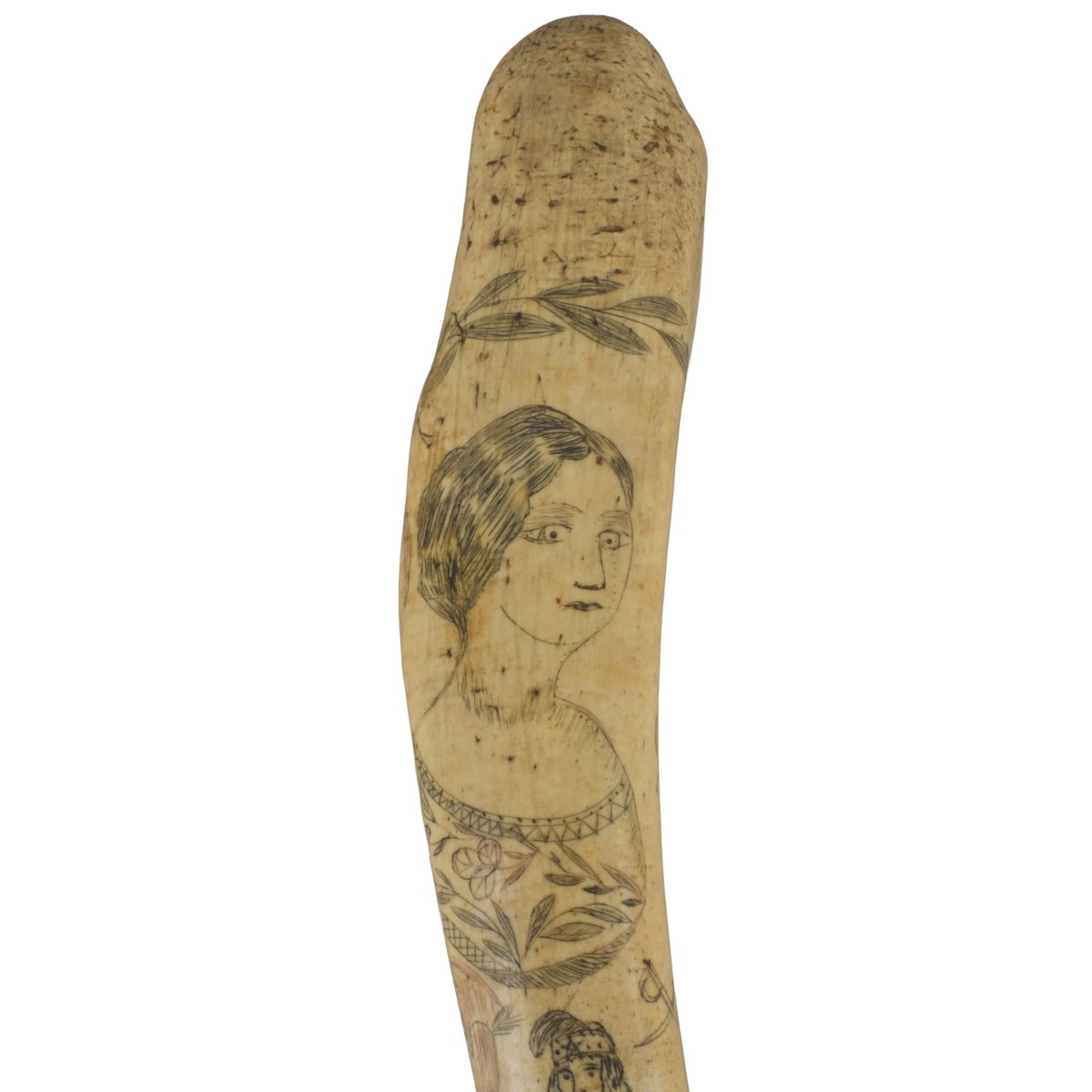 Oosik Walrus Penile Bone Club