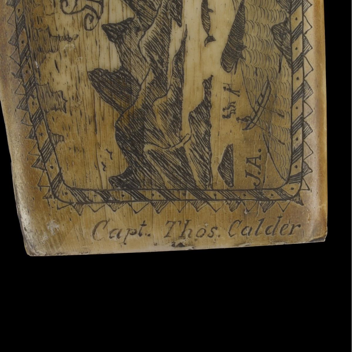 Faux Engraved Scrimshaw