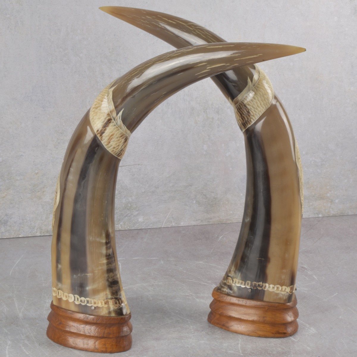 Vintage Carved Buffalo Horns