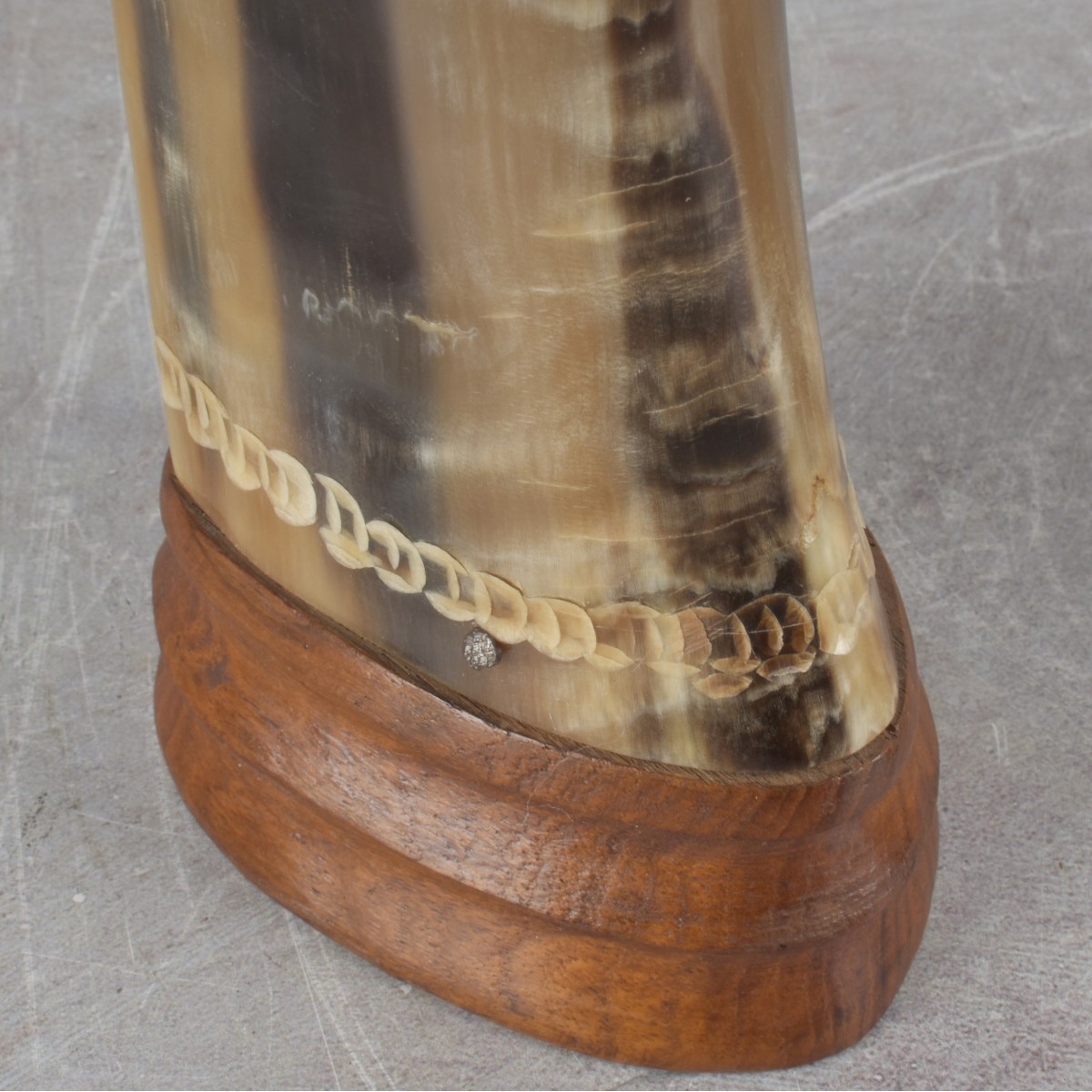 Vintage Carved Buffalo Horns