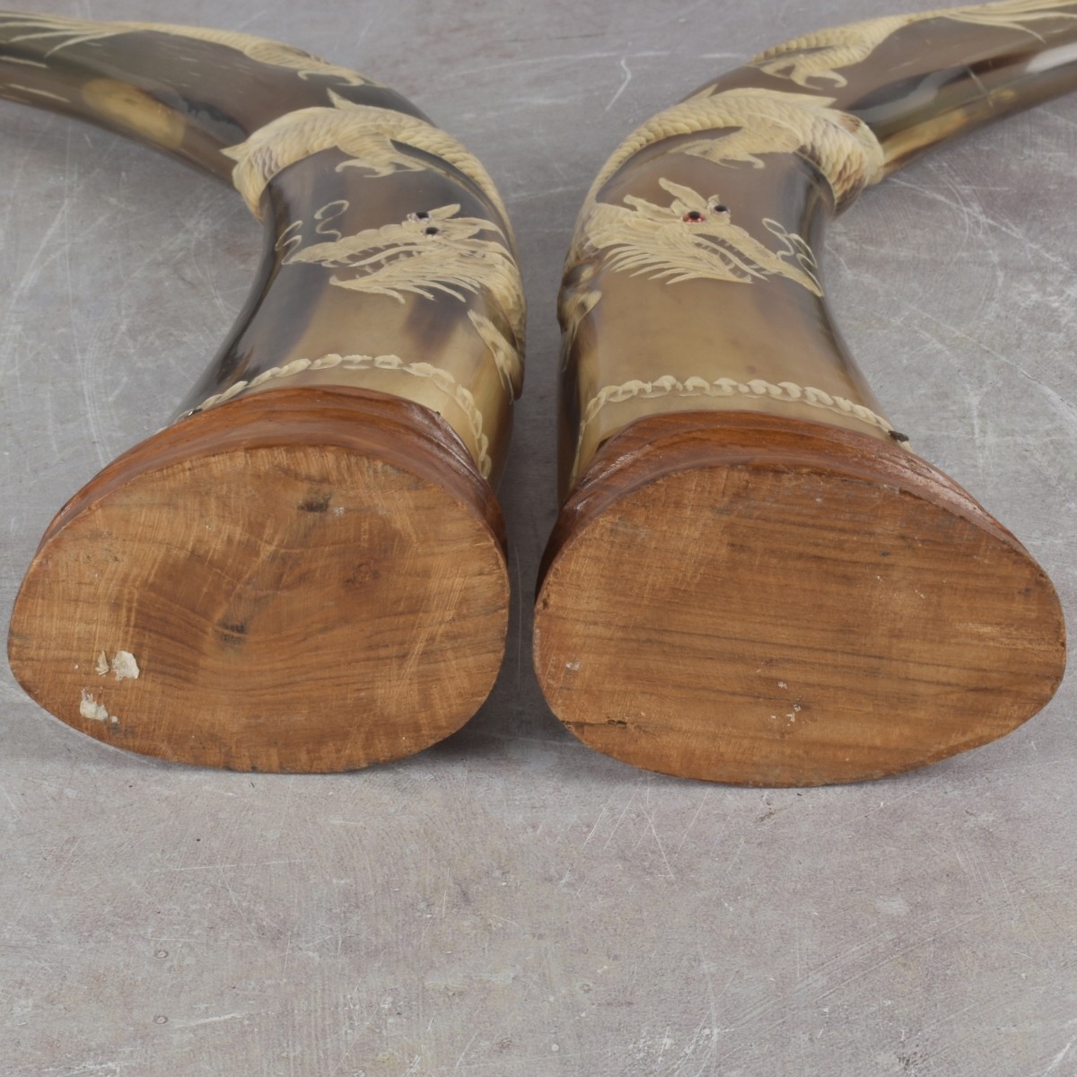 Vintage Carved Buffalo Horns