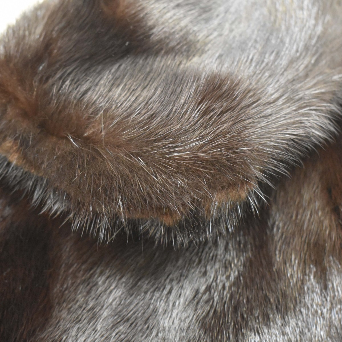 Fur Jacket and Stoles
