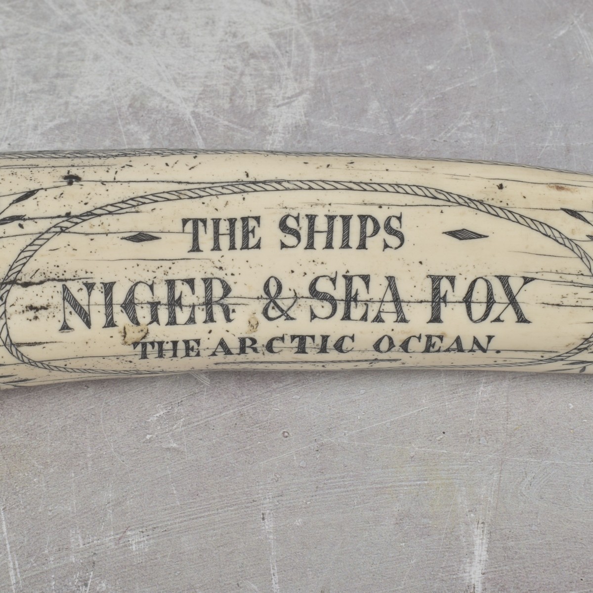 Carved Scrimshaw
