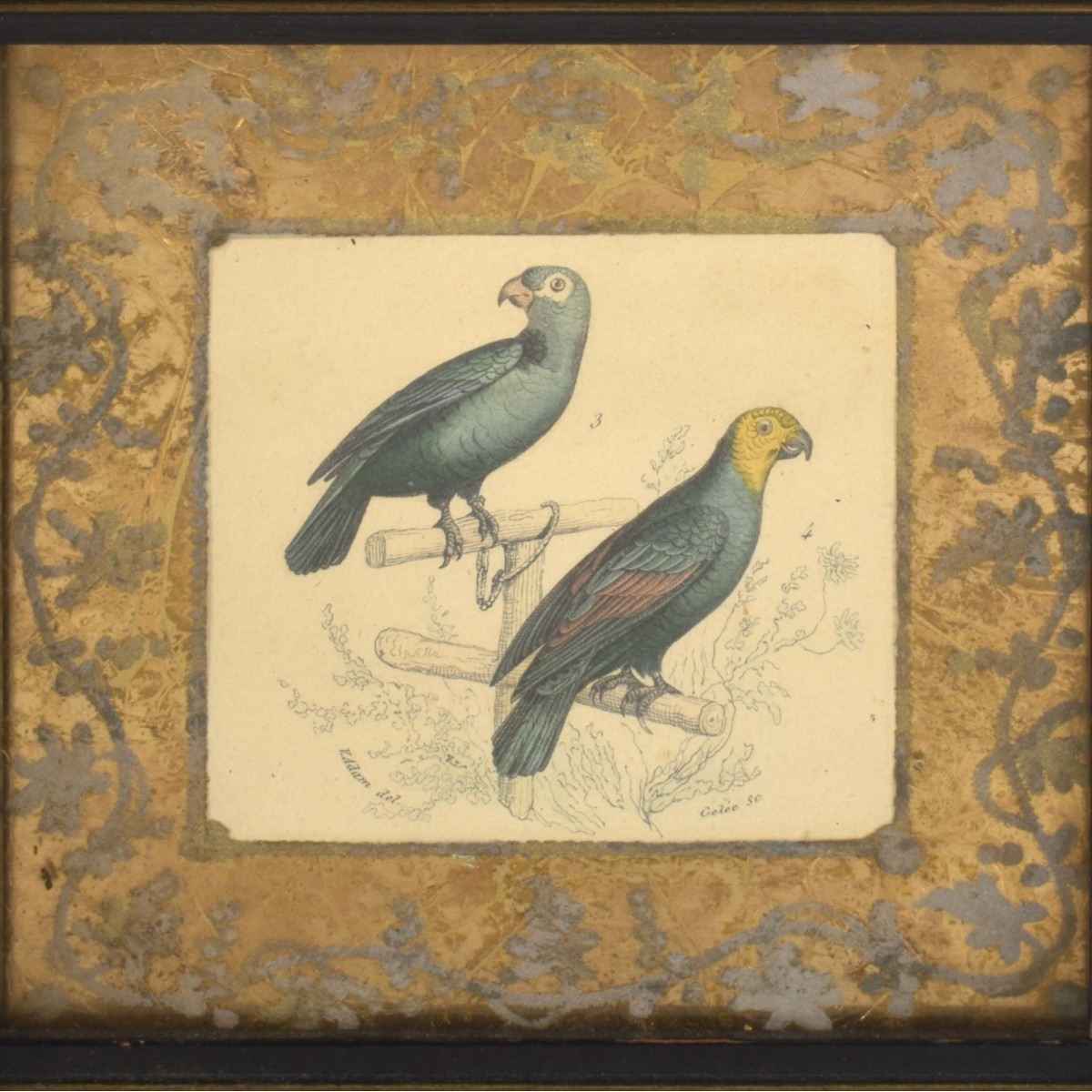18th Century Framed Bird Lithographs