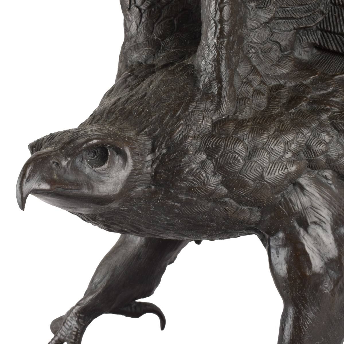 Bronze Eagle