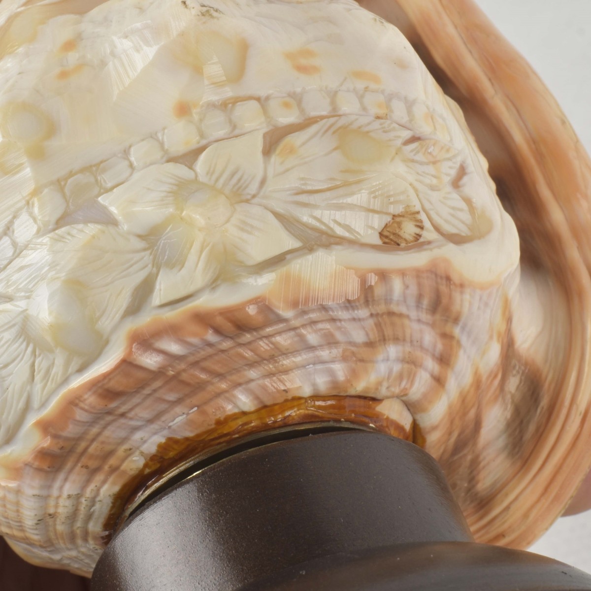 Vintage Carved Conch Shell Night Light