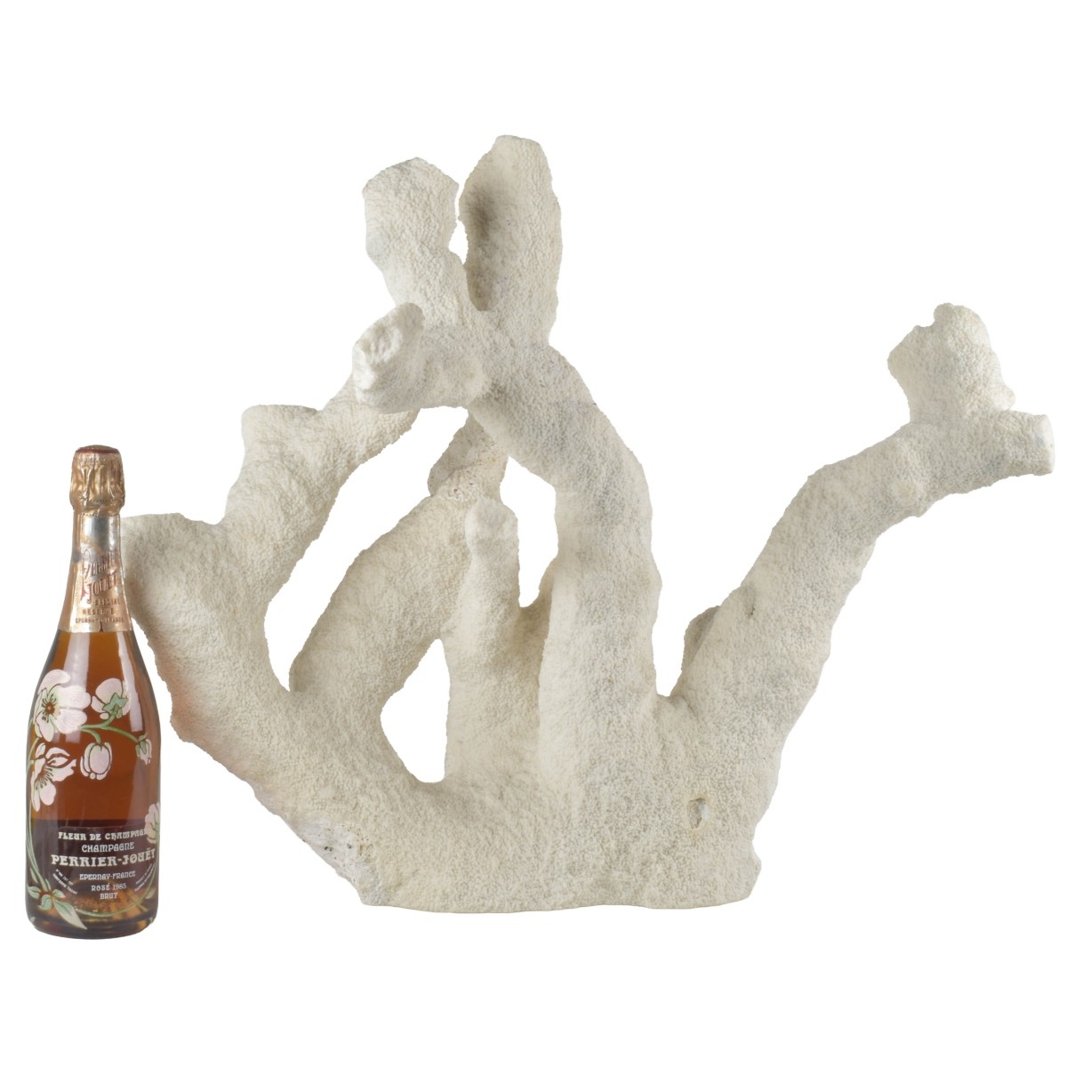 Large Natural White Sea Coral