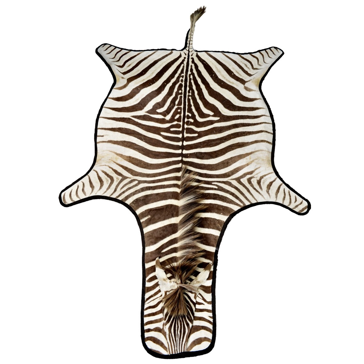 African Zebra Full Skin Rug