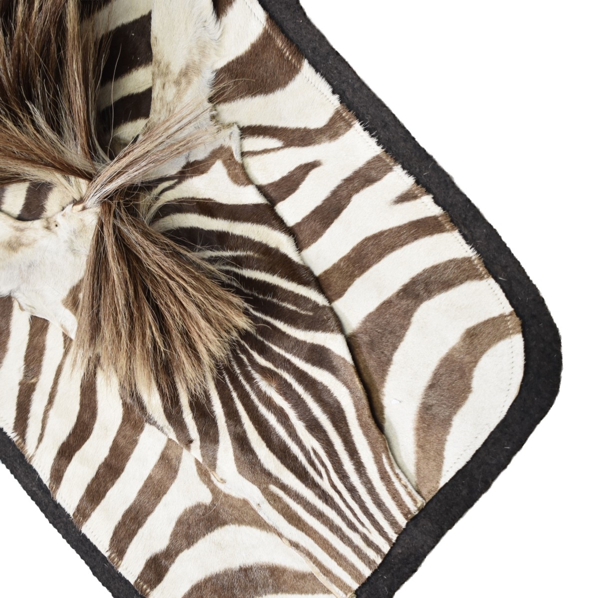 African Zebra Full Skin Rug