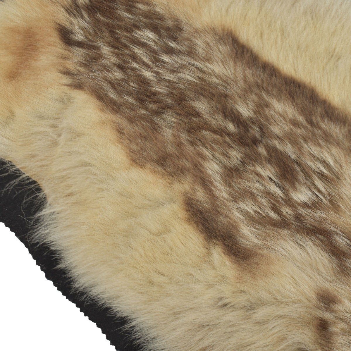 Full Skin Animal Pelt