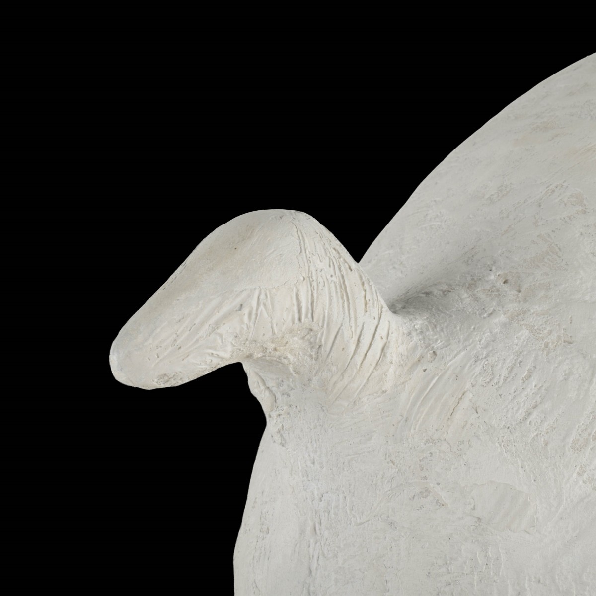 Bird Lamps by JosÈ Esteves
