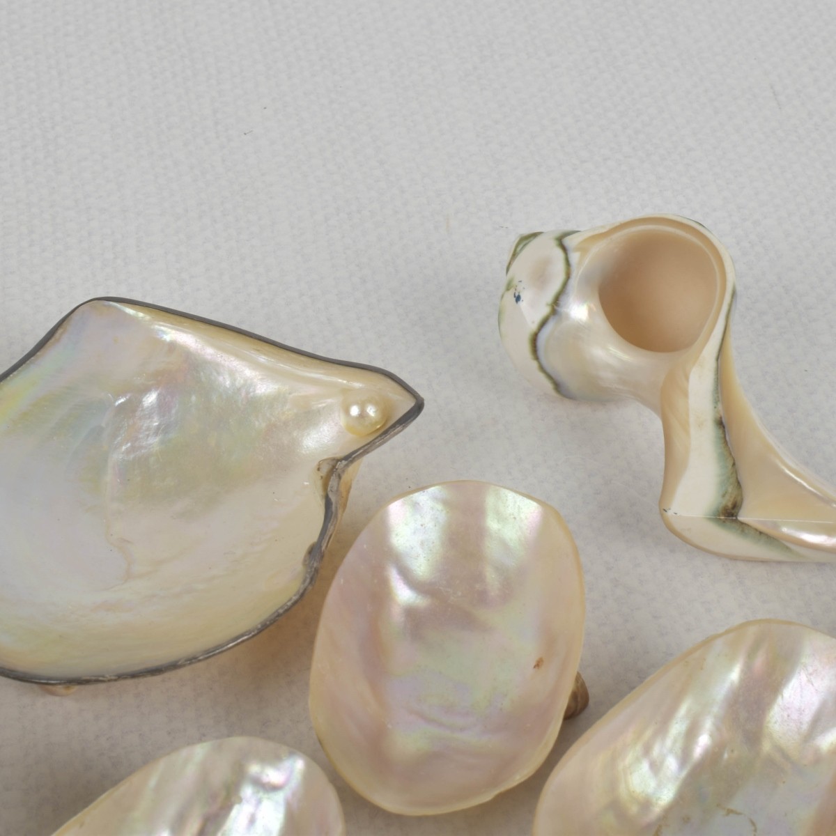 Mother of Pearl Pieces