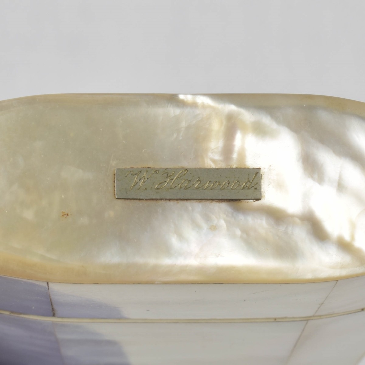 Mother of Pearl Pieces