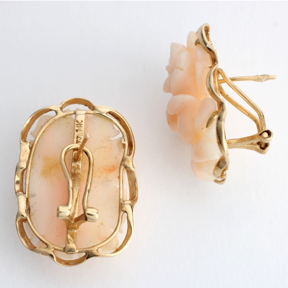 Coral and 14K Earrings